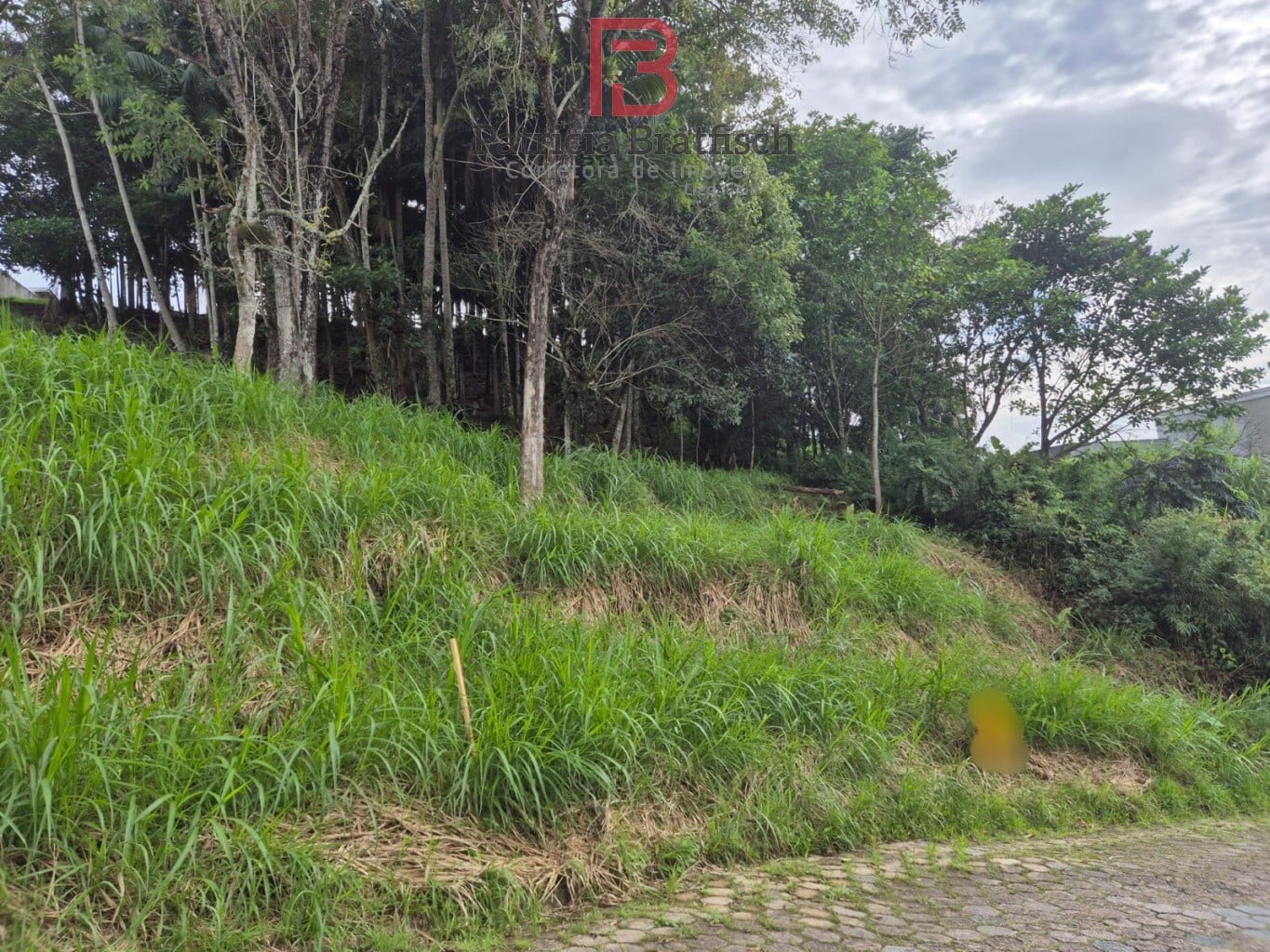 Terreno · à venda · 1146m² · Escola Agrícola, Blumenau