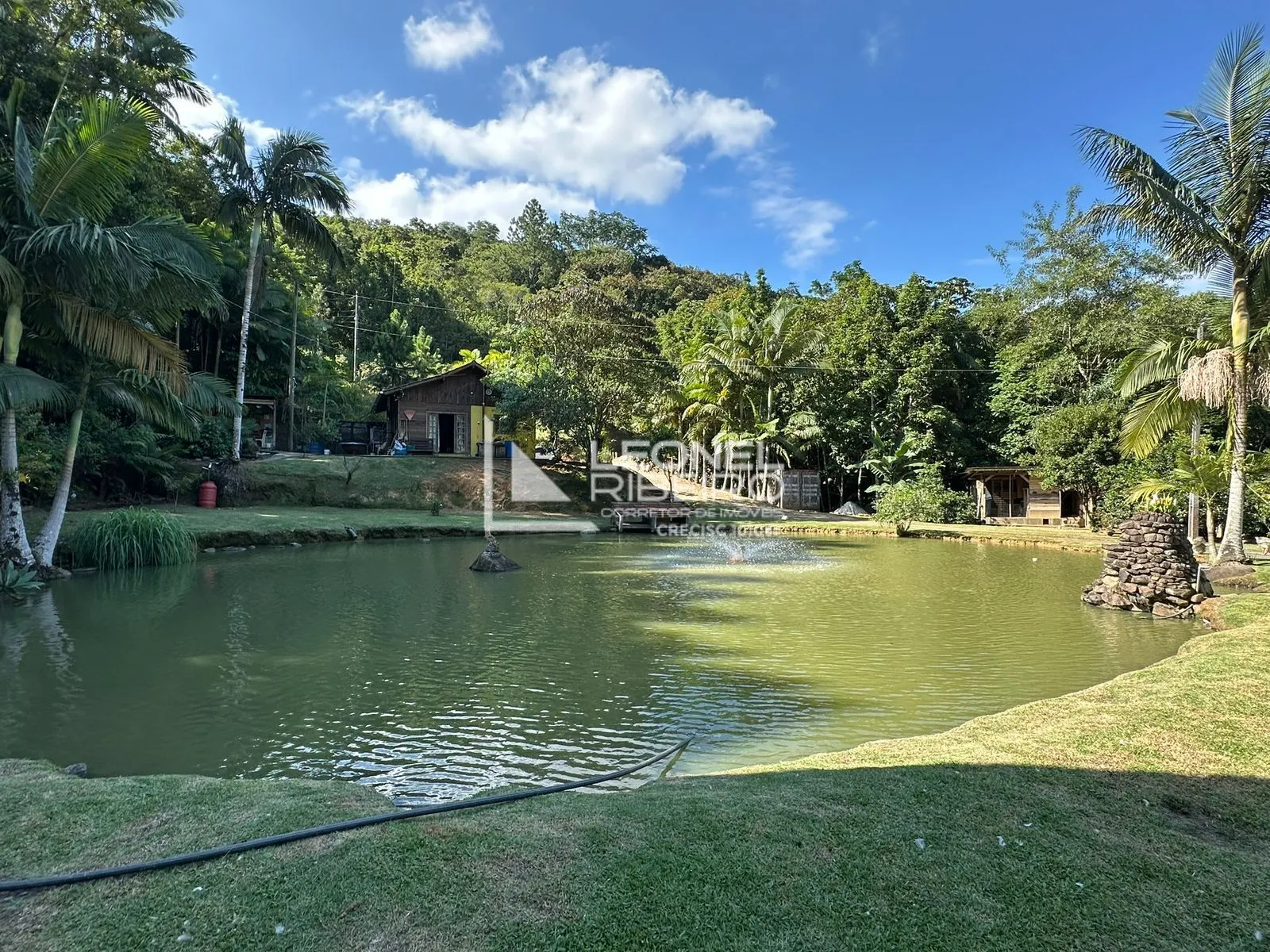 Sítio com 3 dormitórios à venda, 25.000 m no Bairro Ribeirão Souto em Pomerode/SC. - foto 1