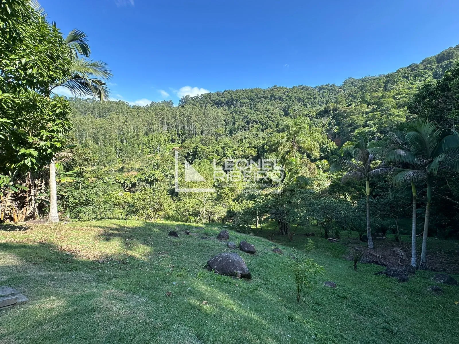 Sítio com 3 dormitórios à venda, 25.000 m no Bairro Ribeirão Souto em Pomerode/SC. — foto 2