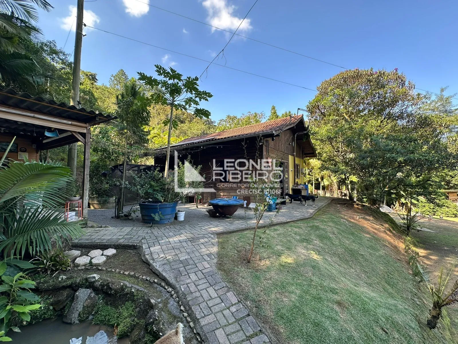 Sítio com 3 dormitórios à venda, 25.000 m no Bairro Ribeirão Souto em Pomerode/SC. — foto 5