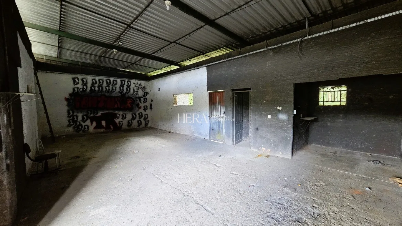 Casa com galpão para aluguel comercial em corredor de serviço no bairro Badenfurt — foto 4