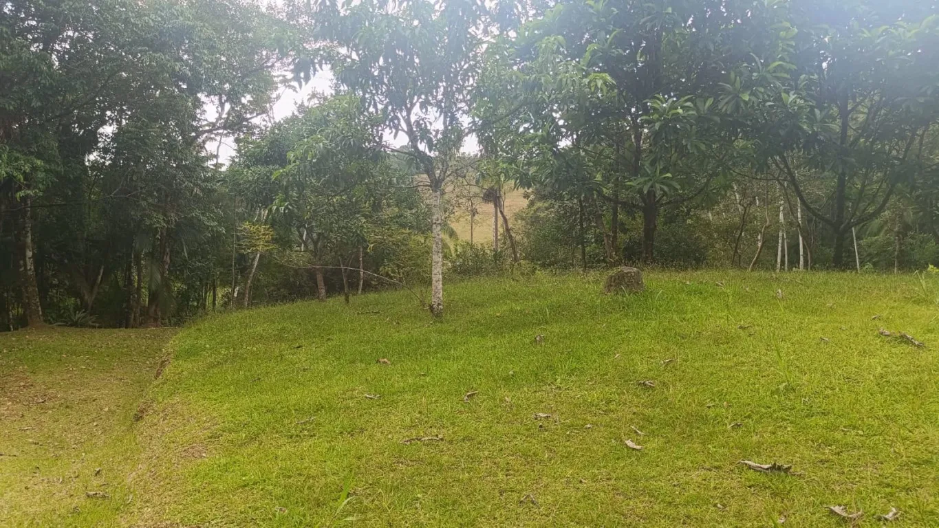 Sítio amplo com 03 lagoas no bairro Vila Itoupava - Blumenau. — foto 2