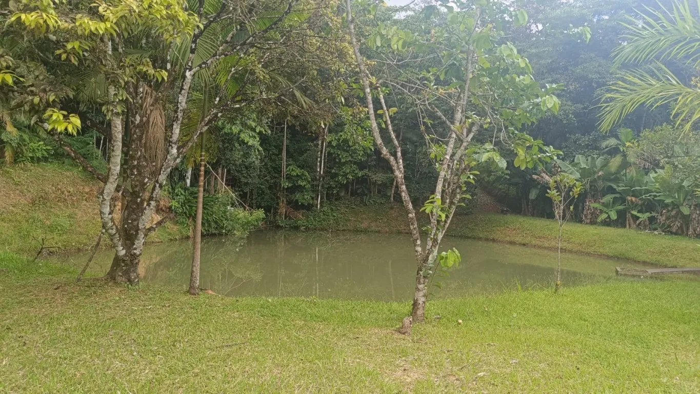 Sítio amplo com 03 lagoas no bairro Vila Itoupava - Blumenau. — foto 4