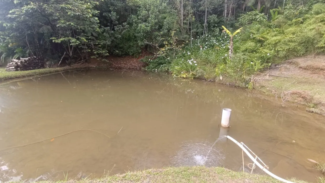 Sítio amplo com 03 lagoas no bairro Vila Itoupava - Blumenau. — foto 5