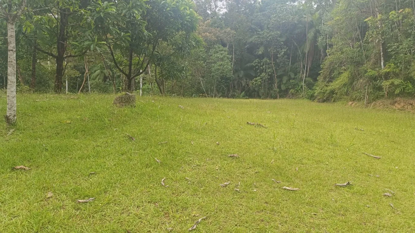 Sítio amplo com 03 lagoas no bairro Vila Itoupava - Blumenau. — foto 6