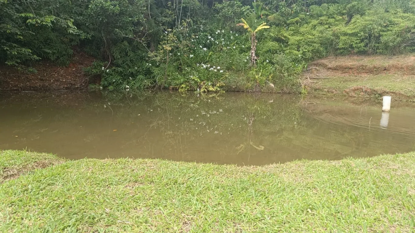 Sítio amplo com 03 lagoas no bairro Vila Itoupava - Blumenau. — foto 7