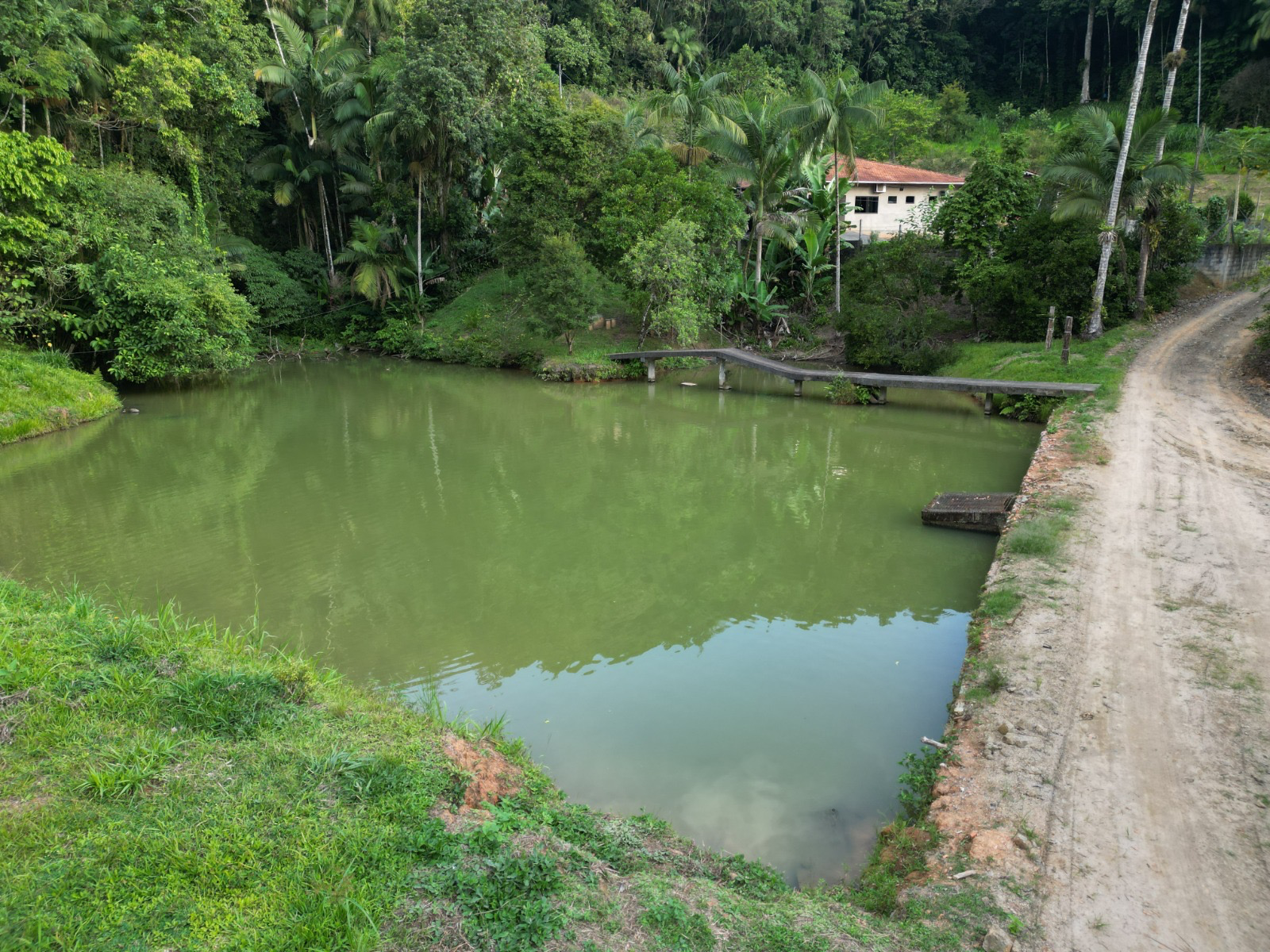 Sítio apenas 4km do centro da Vila - foto 1