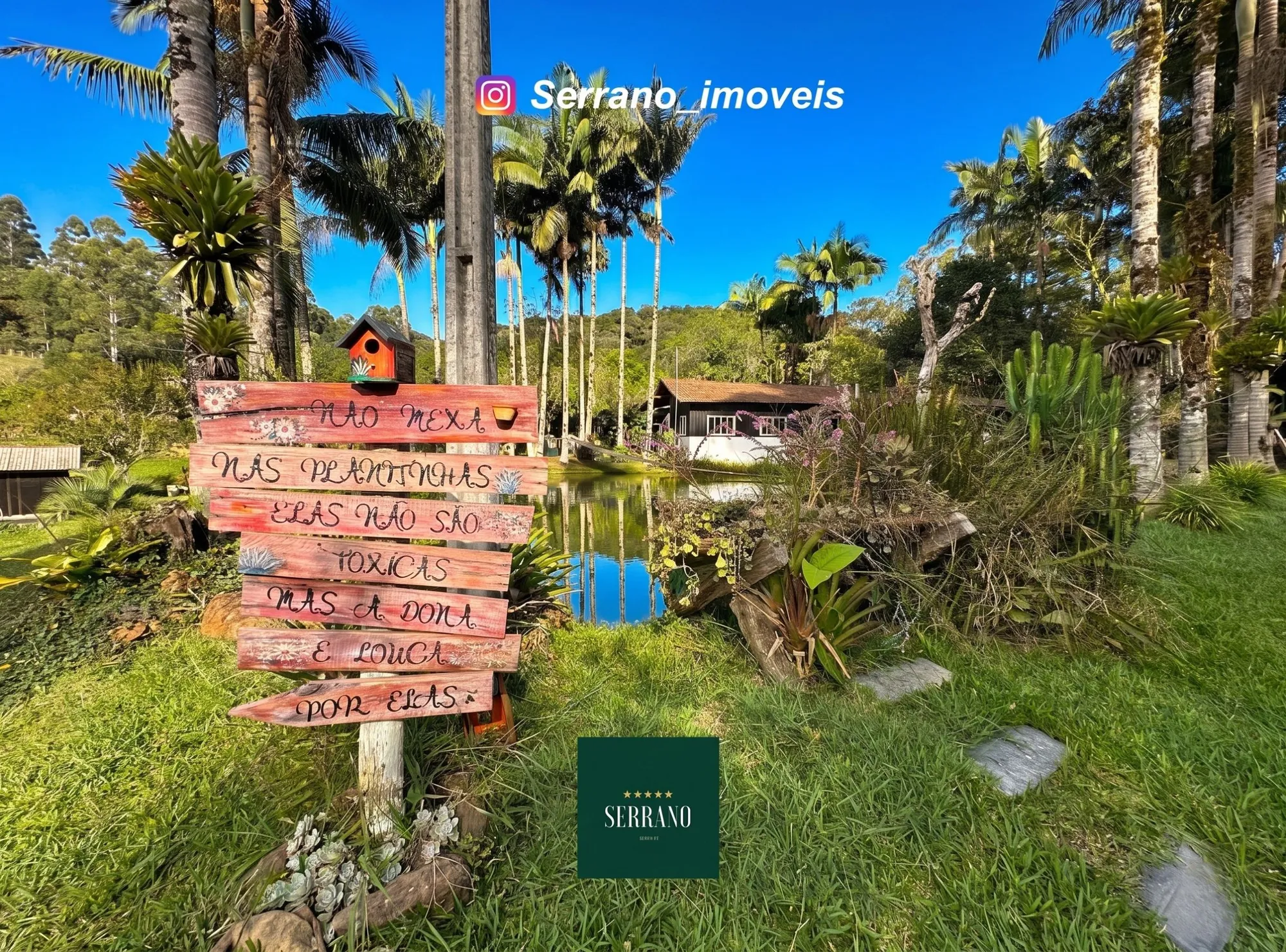 Sitio com 33 mil m² e cachoeira Exclusiva! — foto 7