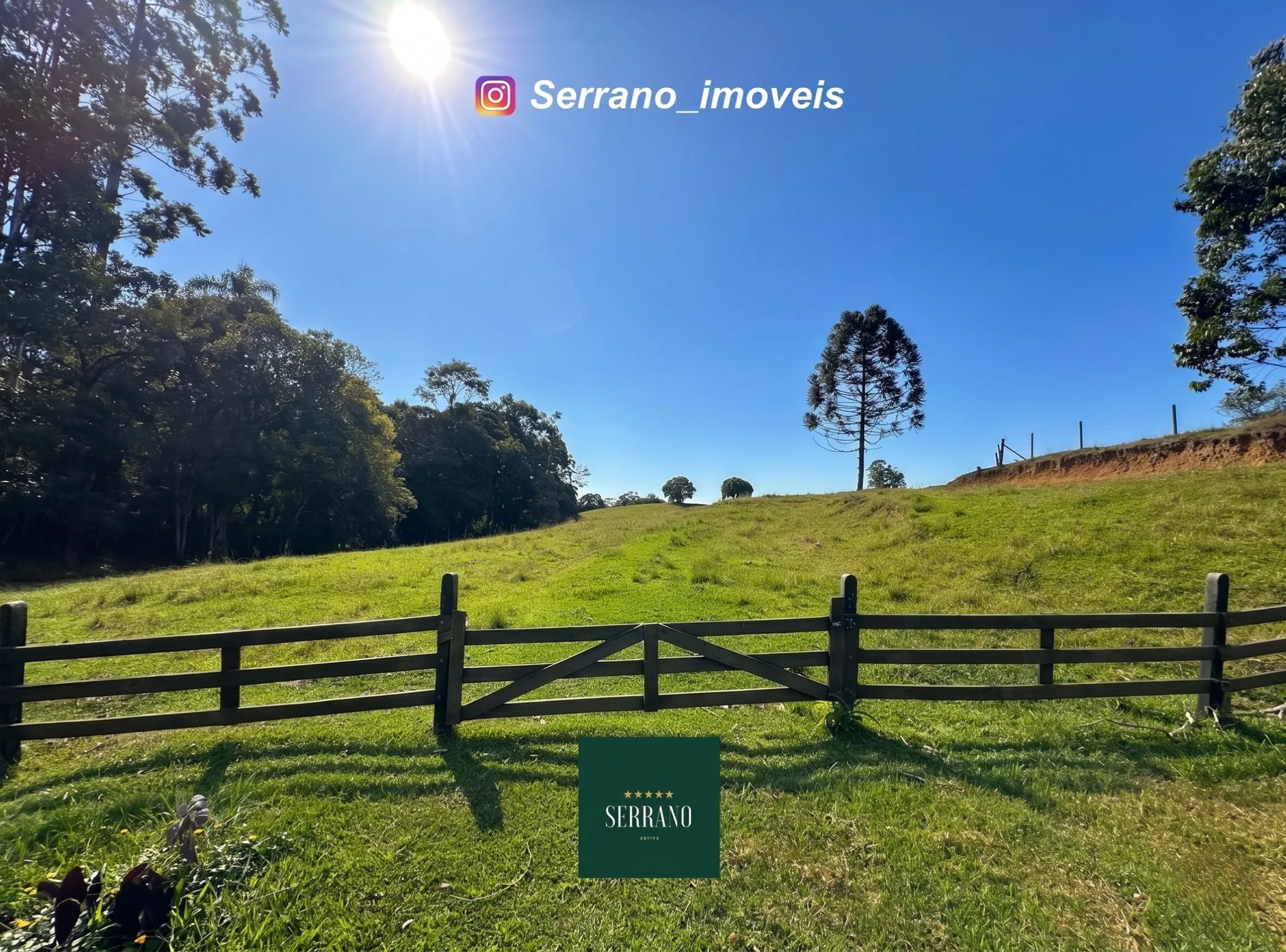 Sitio com 33 mil m² e cachoeira Exclusiva! — foto 5