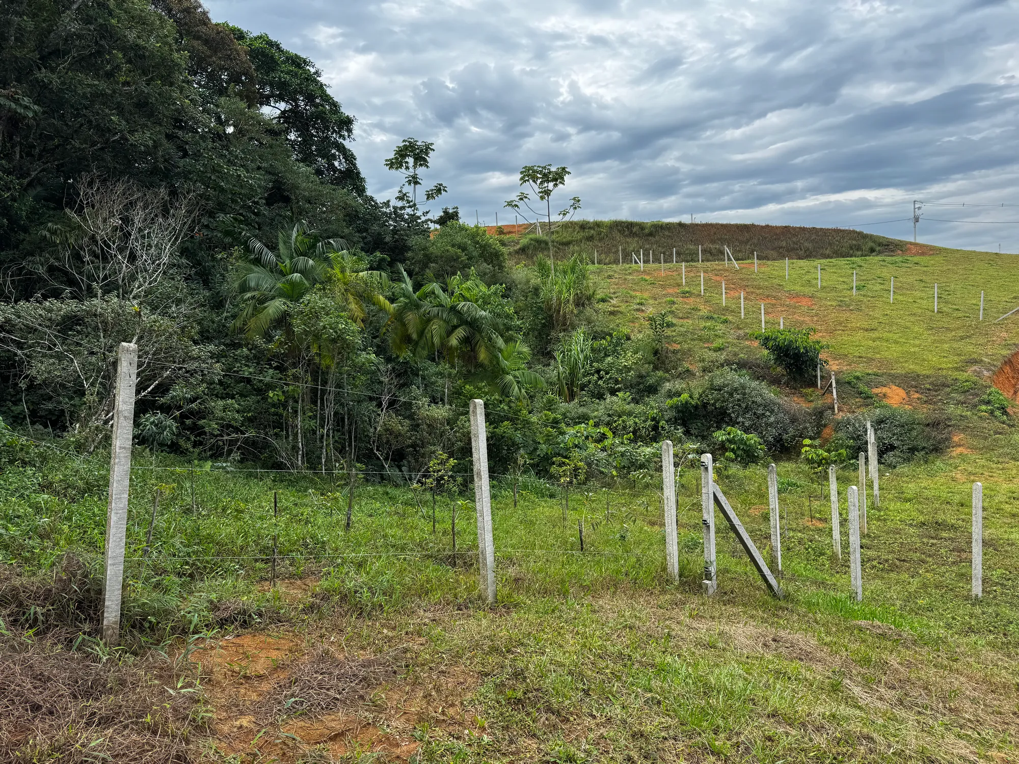 Oportunidade! Terreno urbano de 470,54m² na Via expressa, em Blumenau  — foto 2