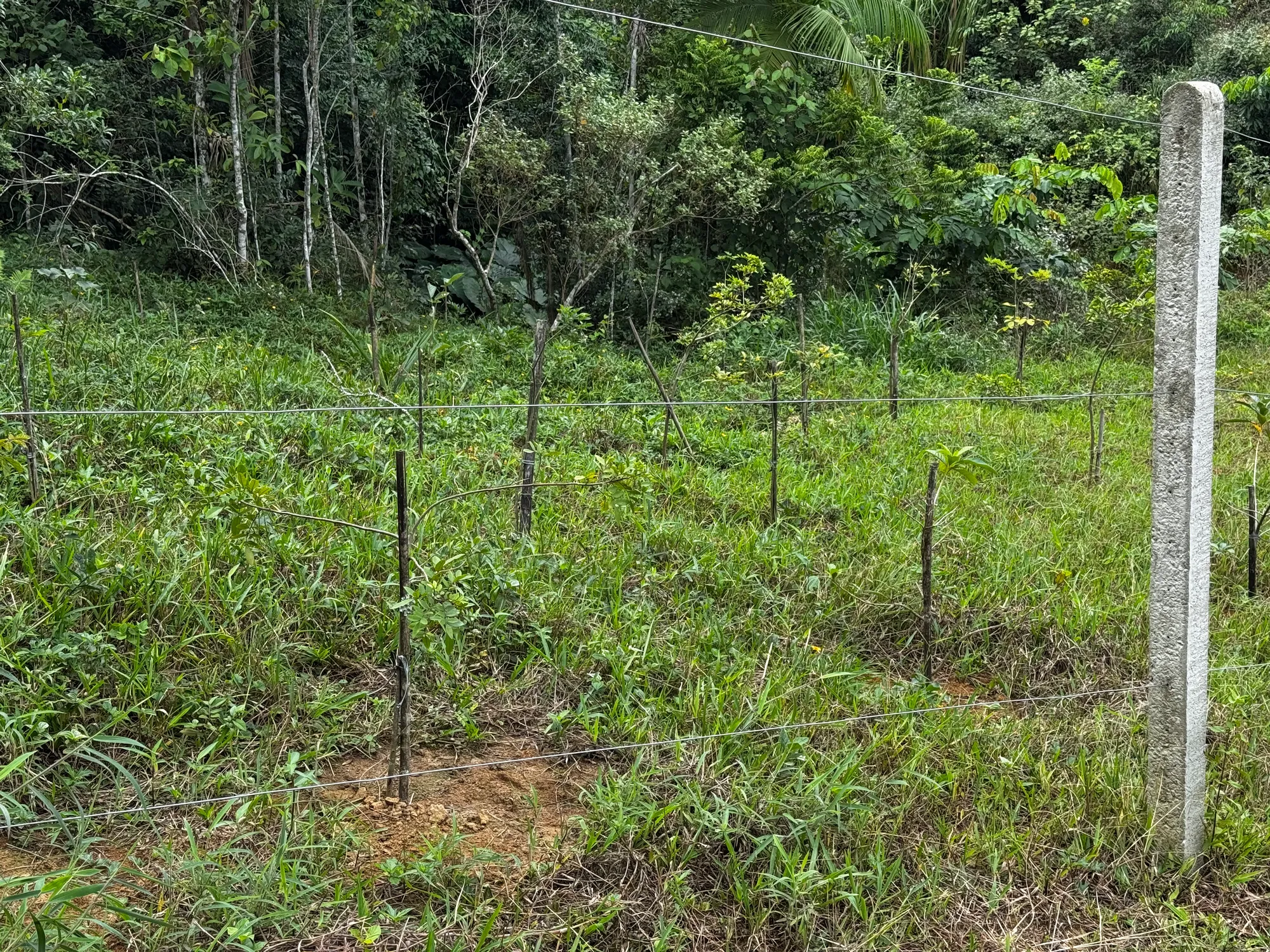Oportunidade! Terreno urbano de 470,54m² na Via expressa, em Blumenau  — foto 5