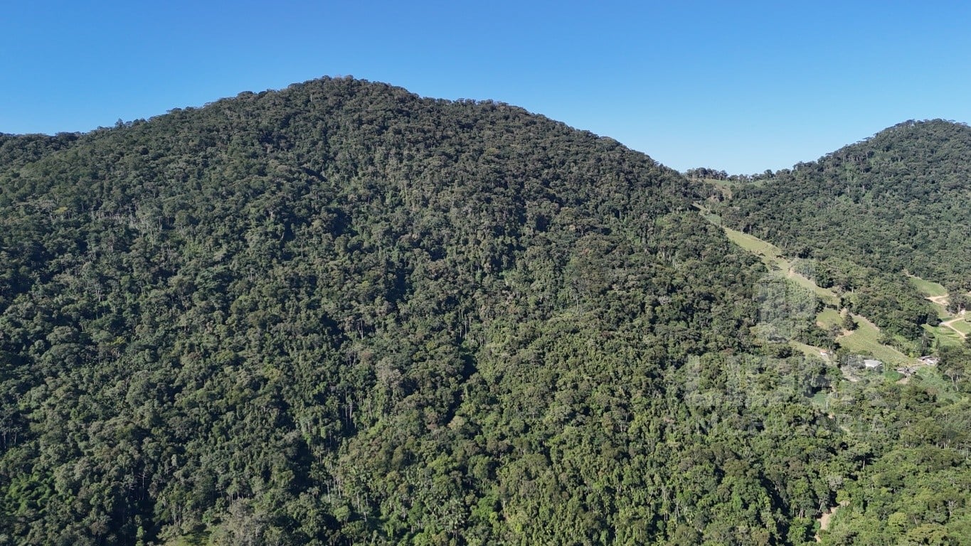 Imóvel Rural à venda, 180811m² no Encano, Indaial — foto 3