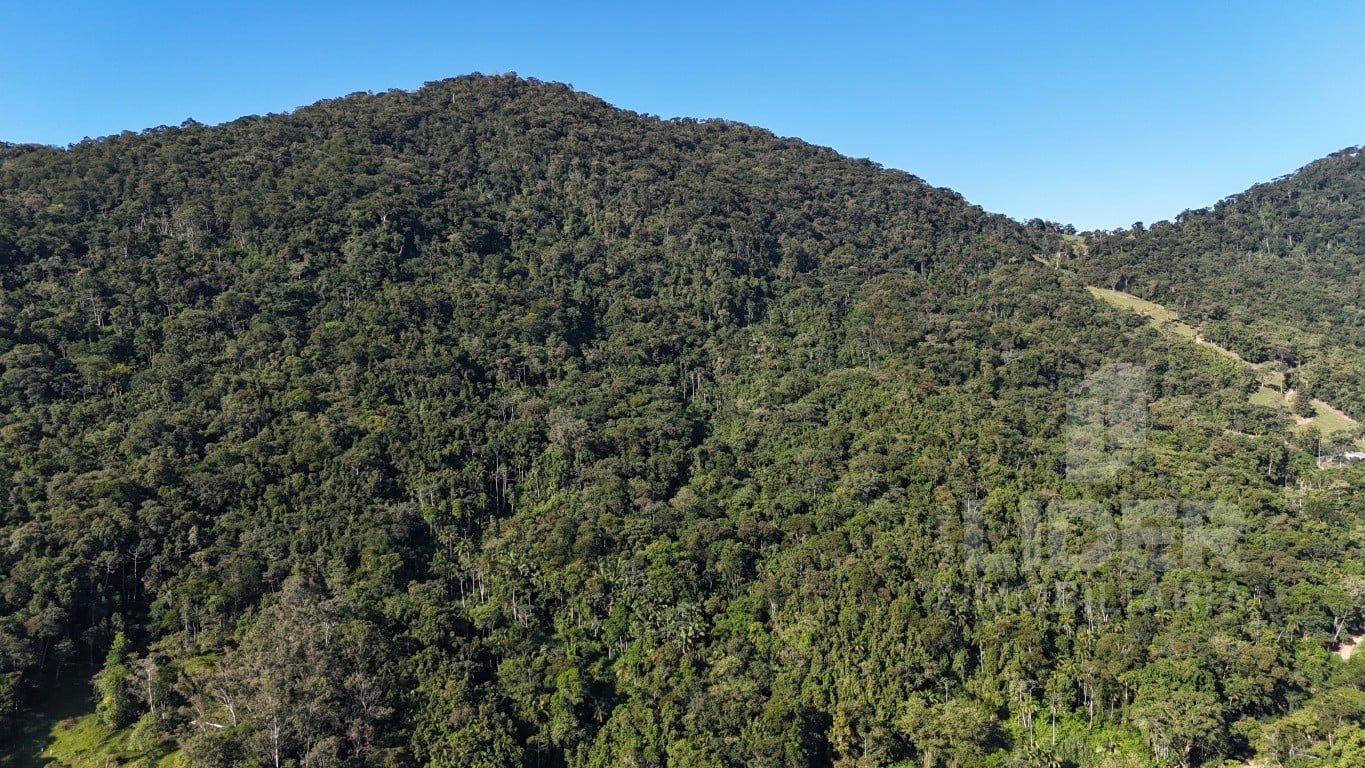 Imóvel Rural à venda, 180811m² no Encano, Indaial — foto 6