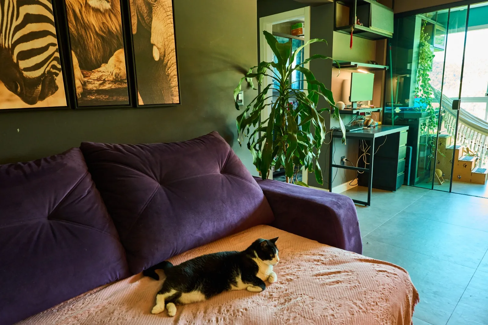 Apto mobiliado com suíte na Itoupava Norte — foto 3