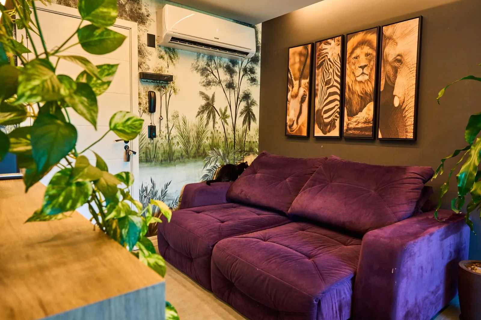 Apto mobiliado com suíte na Itoupava Norte — foto 5