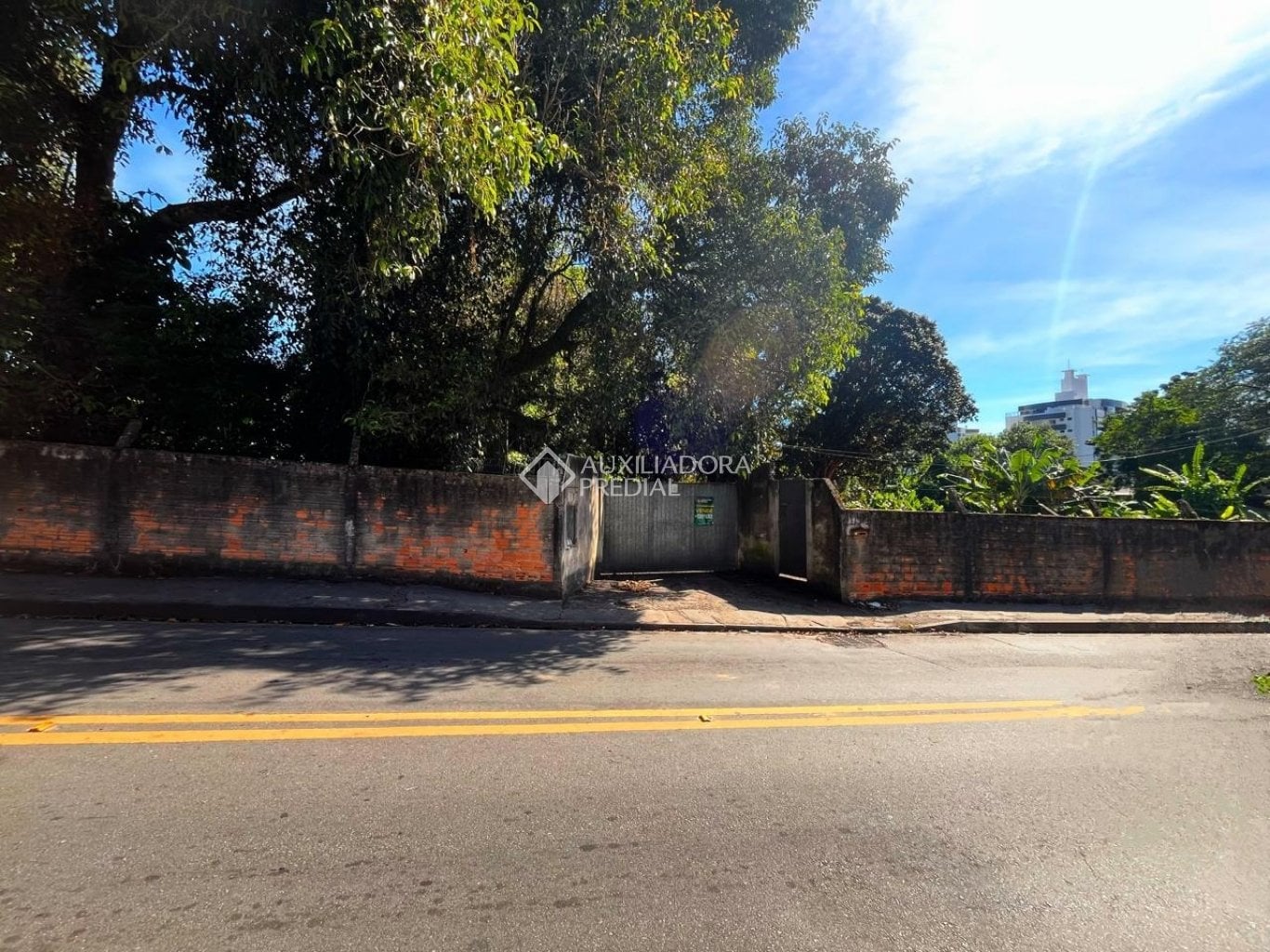 Terreno à venda com 1 quarto, 12805m² na Mané Vicente no Monte Verde, Florianópolis