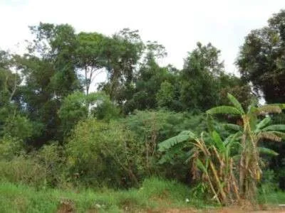 Terreno à venda no bairro Itinga em Joinville, por R$ 1.950.000.00. — foto 3