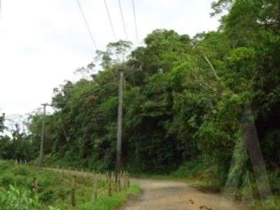 Terreno à venda no bairro Itinga em Joinville, por R$ 1.950.000.00. — foto 4