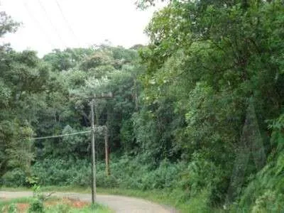 Terreno à venda no bairro Itinga em Joinville, por R$ 1.950.000.00. — foto 5