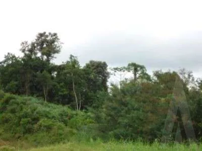 Terreno à venda no bairro Itinga em Joinville, por R$ 1.950.000.00. — foto 6