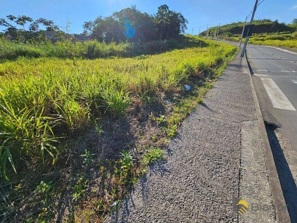 Terreno à venda, 325m² no Salto do Norte, Blumenau - foto 1
