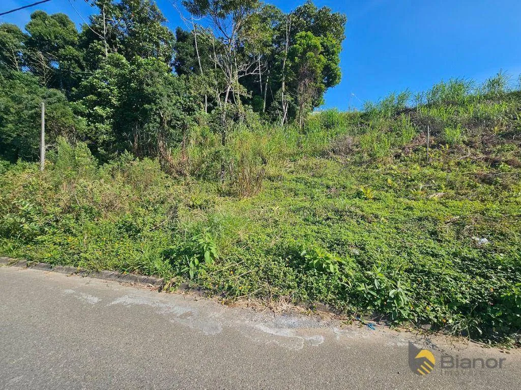 Terreno à venda, 476 m por R$ 370.000,00 - Fortaleza - Blumenau/SC — foto 2