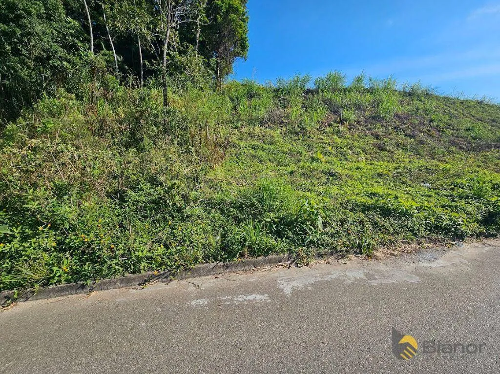 Terreno à venda, 476 m por R$ 370.000,00 - Fortaleza - Blumenau/SC — foto 3