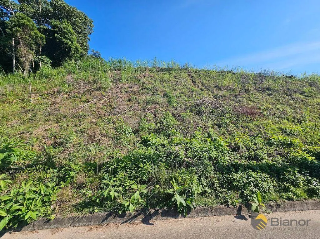 Terreno à venda, 527 m por R$ 390.000,00 - Fortaleza - Blumenau/SC — foto 3