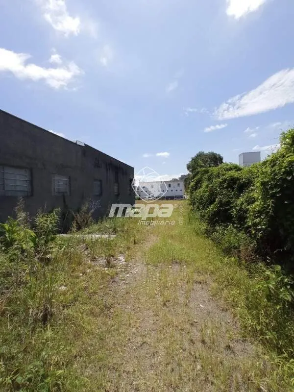 Terreno Urbano para aluguel, Centro - Indaial/SC — foto 5