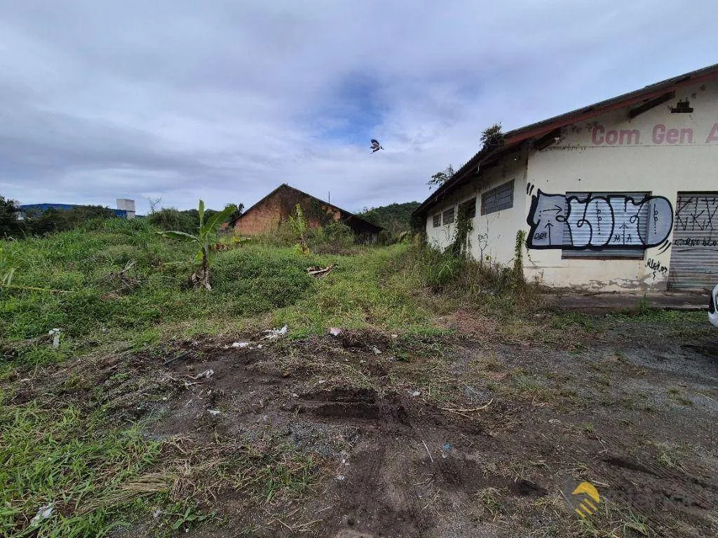 Galpão à venda, 600 m por R$ 4.000.000,00 - Itoupava Central - Blumenau/SC — foto 5