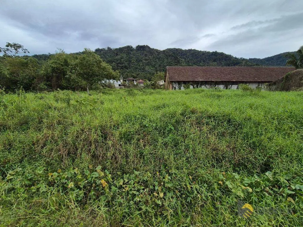 Galpão à venda, 600 m por R$ 4.000.000,00 - Itoupava Central - Blumenau/SC — foto 6