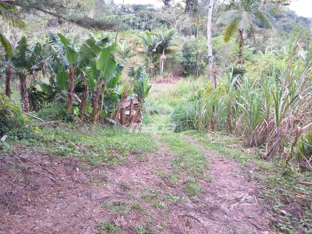 Terreno Urbano à venda, Centro - Benedito Novo /SC — foto 4