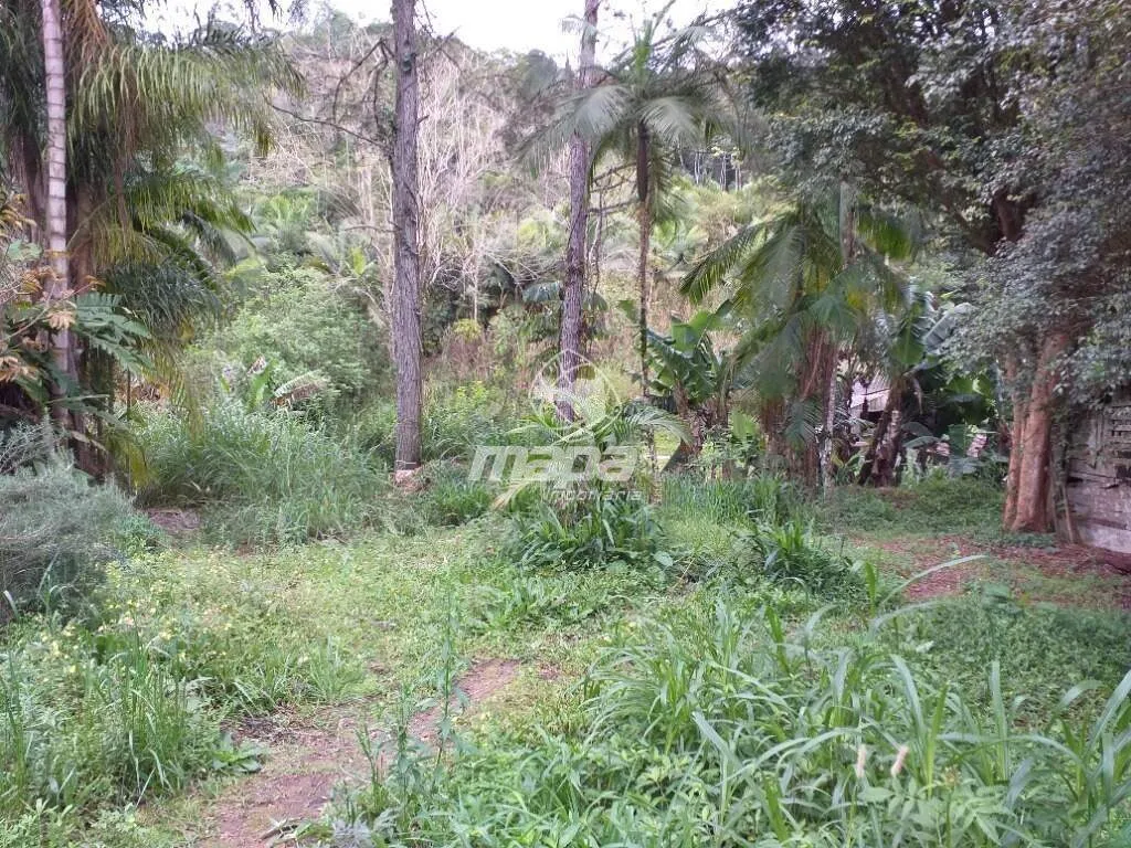 Terreno Urbano à venda, Centro - Benedito Novo /SC — foto 5