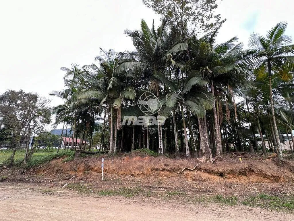Terreno Urbano à venda, Padre Martinho Stein - Timbó/SC - foto 1