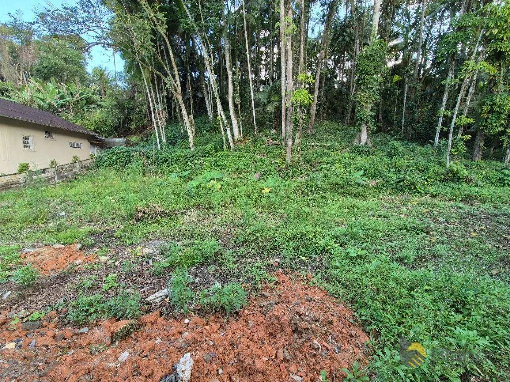 Terreno à venda, 1028 m por R$ 750.000,00 - Itoupava Seca - Blumenau/SC — foto 3