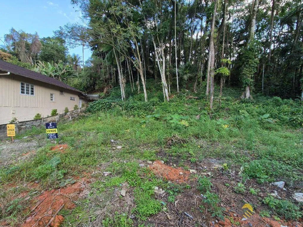 Terreno à venda, 1028 m por R$ 750.000,00 - Itoupava Seca - Blumenau/SC — foto 5