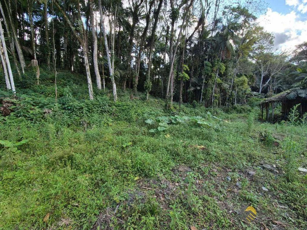 Terreno à venda, 1028 m por R$ 750.000,00 - Itoupava Seca - Blumenau/SC — foto 7