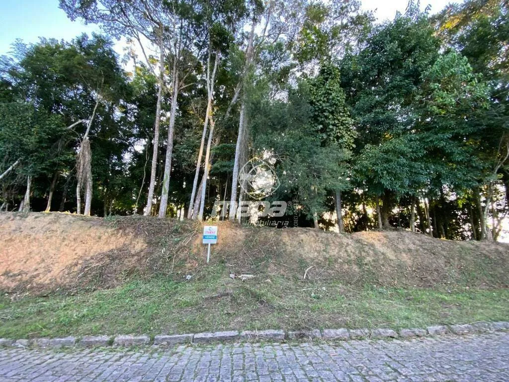 Terreno Urbano à venda, Quintino - Timbó/SC — foto 2