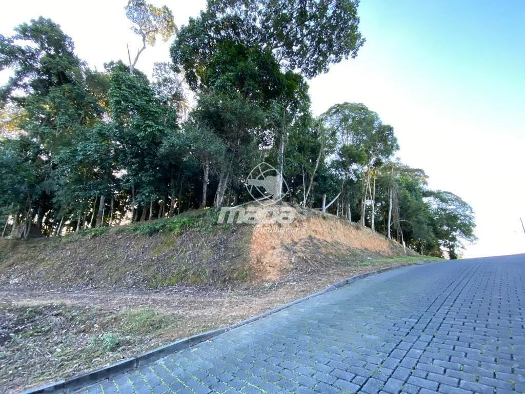 Terreno Urbano à venda, Quintino - Timbó/SC — foto 3