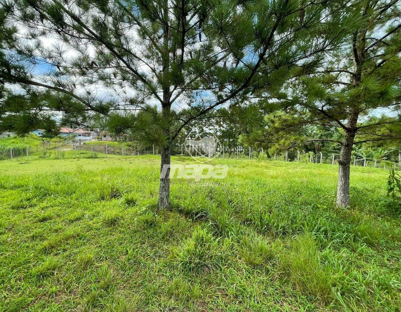 Amplo terreno — foto 2