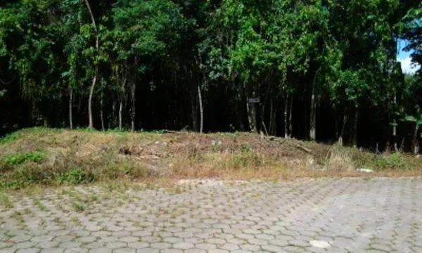 TERRENO no PETRÓPOLIS com 0 quartos para VENDA, 10994 m - foto 1