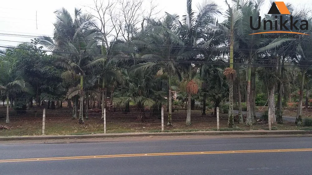 Terreno Comercial de Esquina - Venda em Blumenau — foto 5