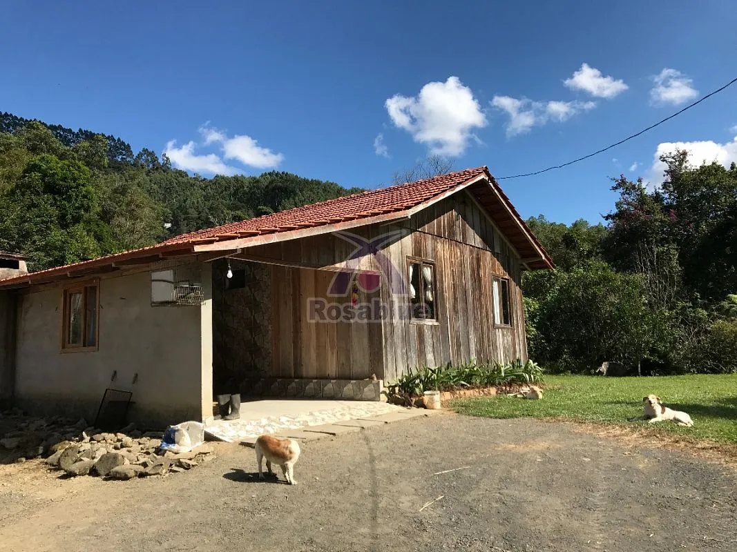 TERRENO RURAL - CASA - SITIO - REFLORESTADO - foto 1