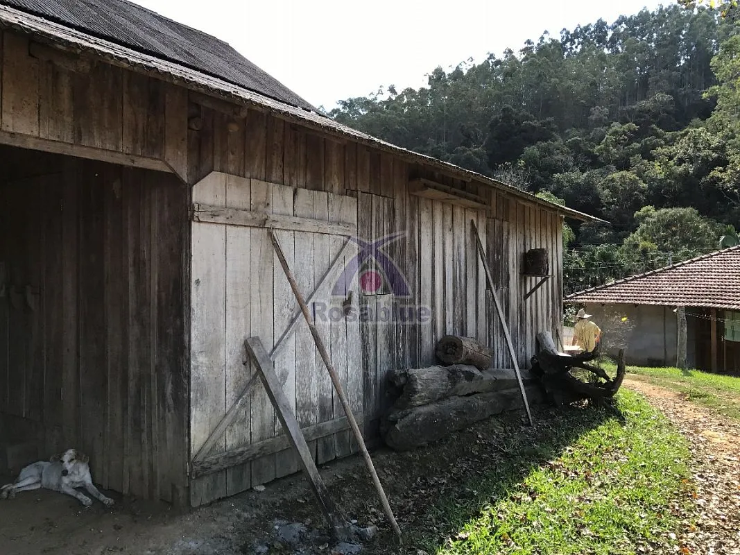 TERRENO RURAL - CASA - SITIO - REFLORESTADO — foto 2
