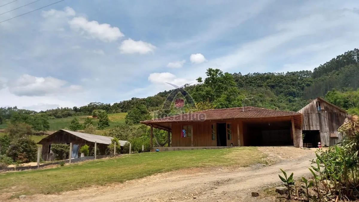 TERRENO RURAL - CASA - SITIO - REFLORESTADO — foto 3