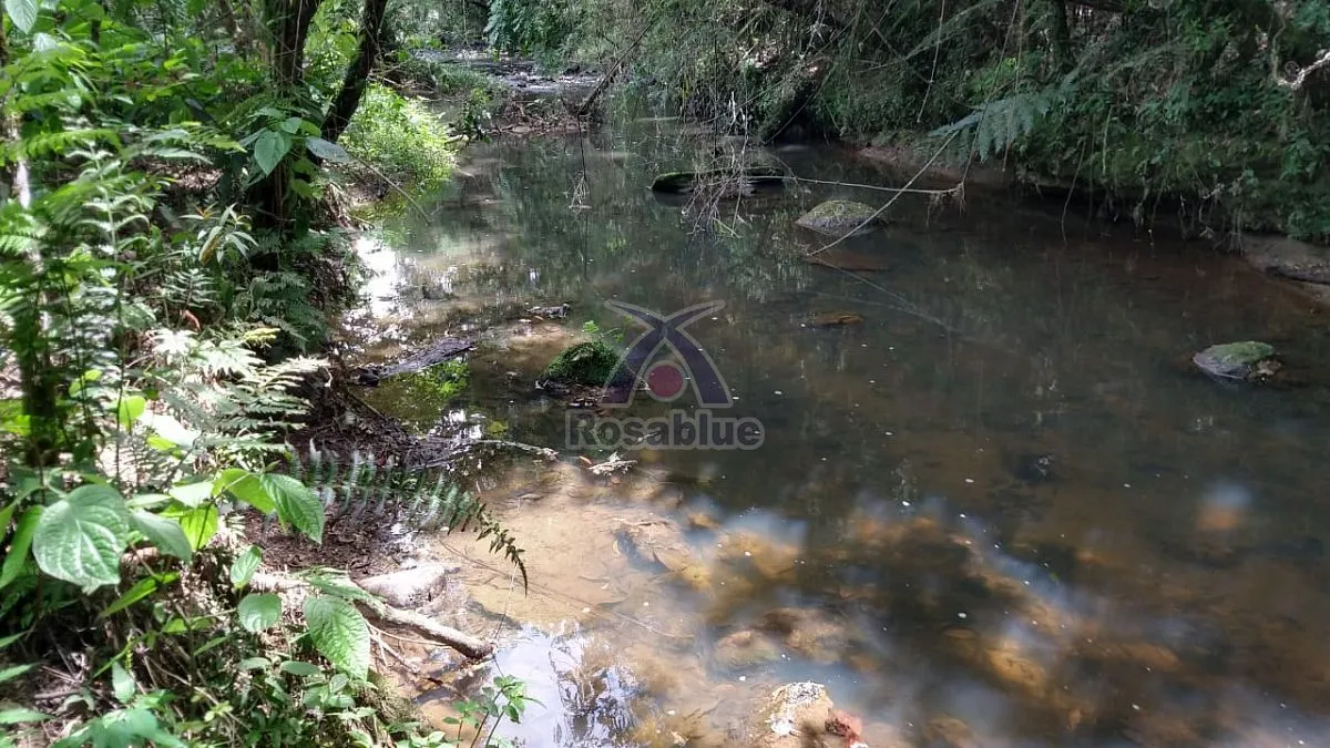 TERRENO RURAL - CASA - SITIO - REFLORESTADO — foto 4