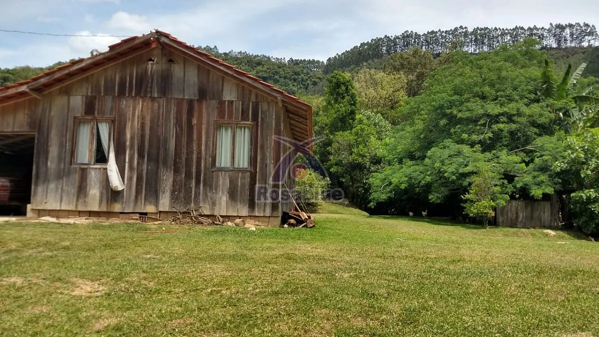 TERRENO RURAL - CASA - SITIO - REFLORESTADO — foto 6