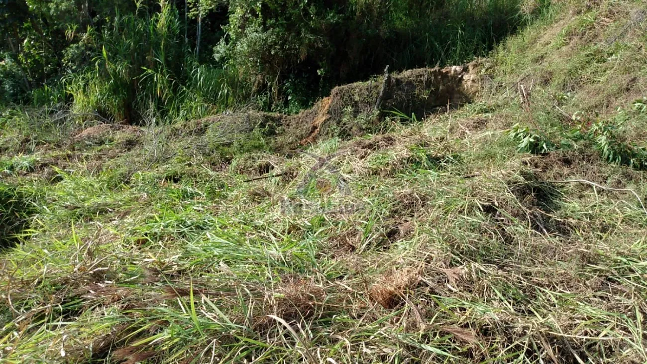 TERRENO - IBIRAMA - foto 1