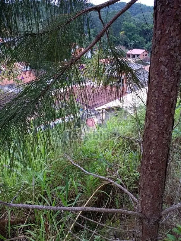 TERRENO - IBIRAMA — foto 5