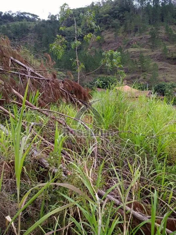TERRENO - IBIRAMA — foto 6